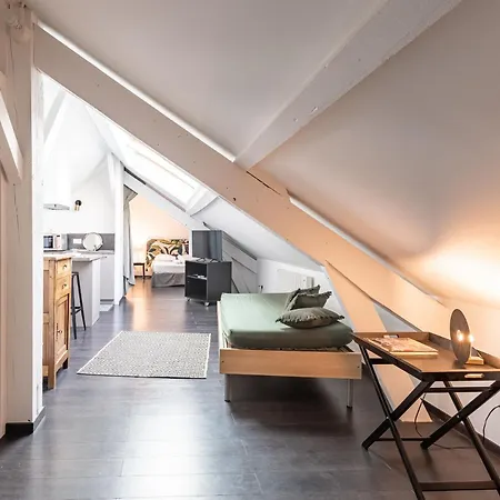 Petit Loft Proche Place Darcy * Dijon