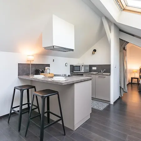Petit Loft Proche Place Darcy Apartment