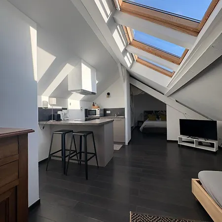 Petit Loft Proche Place Darcy Appartement *