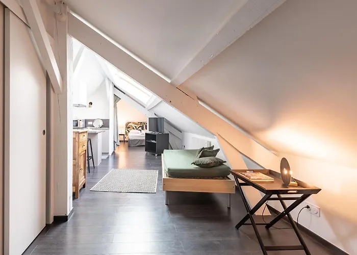 Petit Loft Proche Place Darcy * Dijon