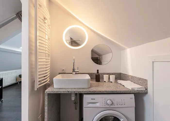 Petit Loft Proche Place Darcy Dijon