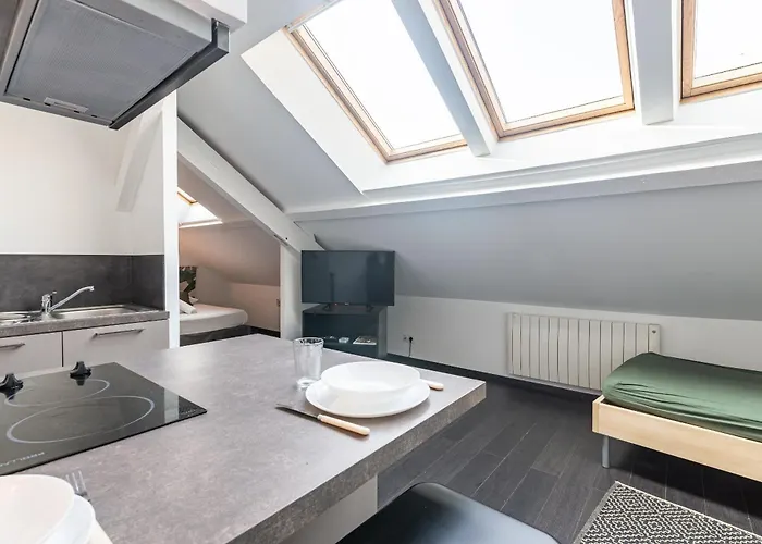 Petit Loft Proche Place Darcy Dijon