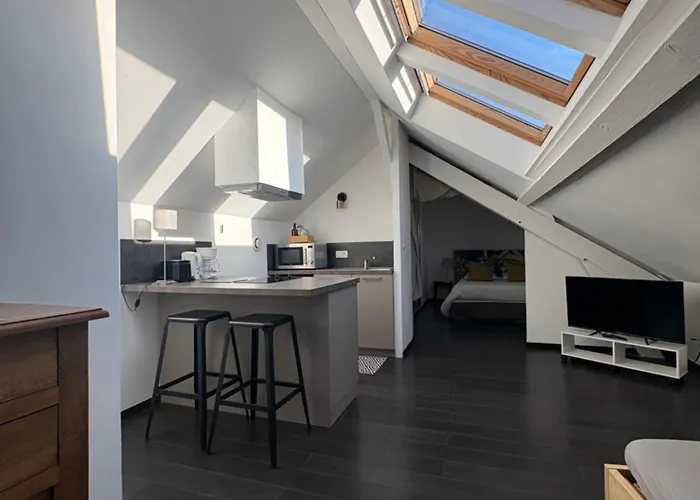 Petit Loft Proche Place Darcy Appartement *